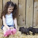 Young girl with baby wild boars