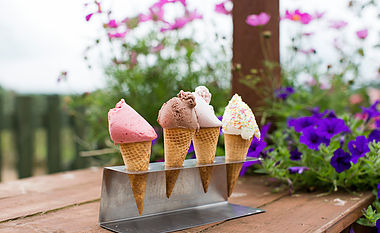 Ice Cream
