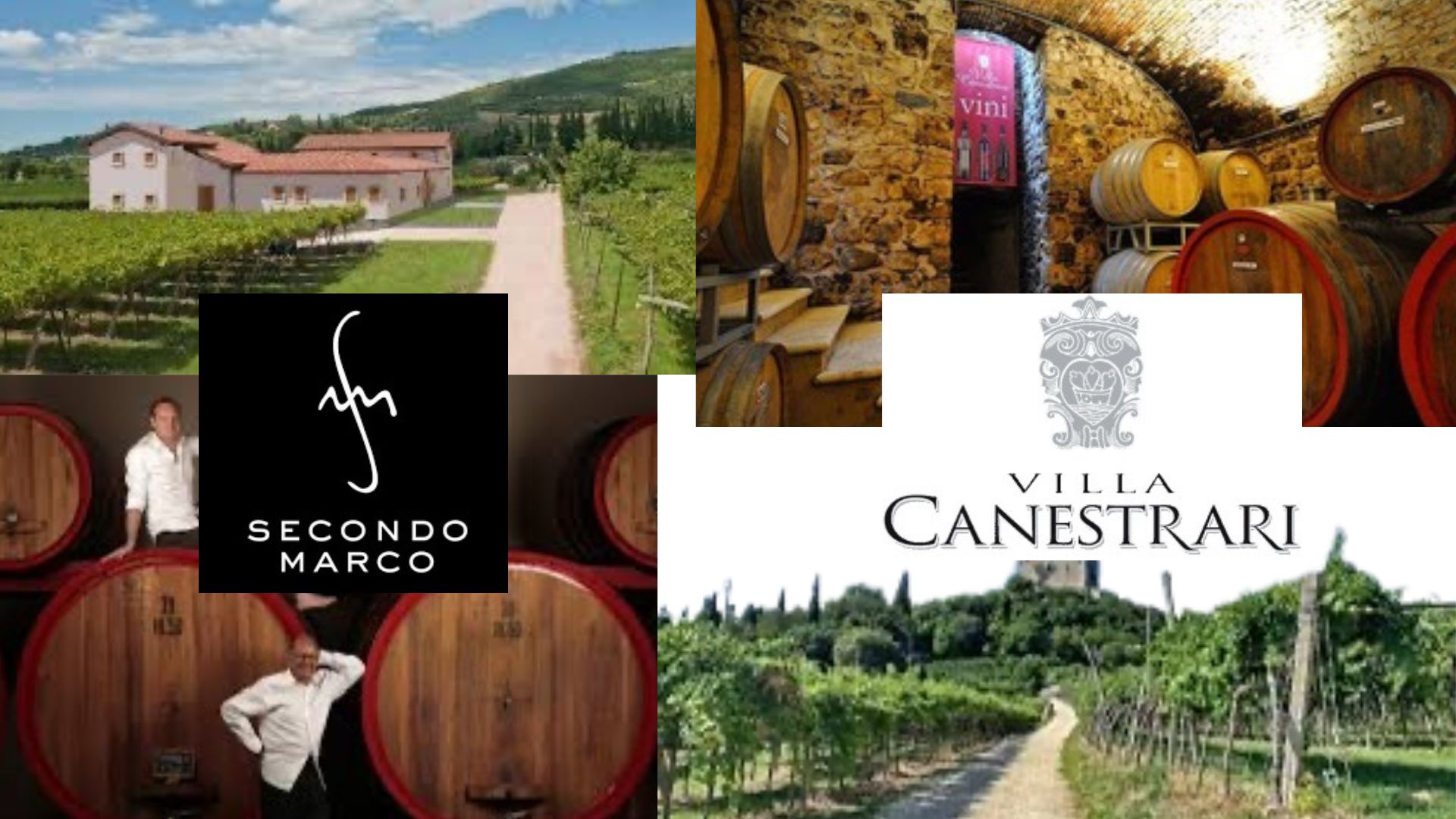 Valpolicella Wine ~ A Very Special Tasting Experience