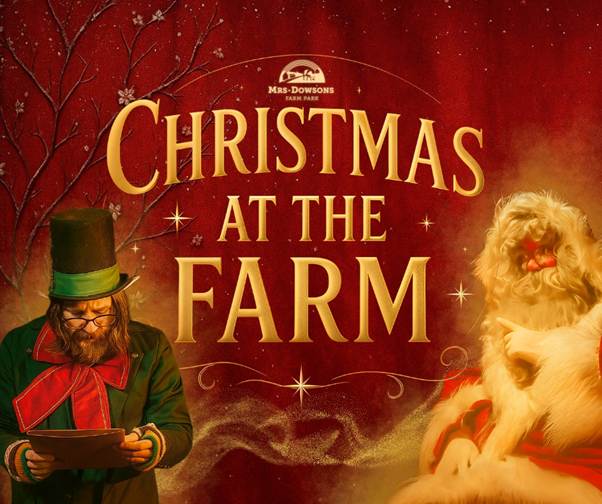 Christmas at the Farm Christmas | Mrs Dowsons Farm   