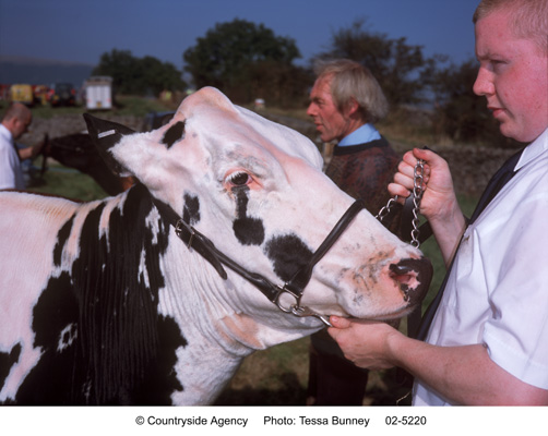 Royal Lancashire Show
