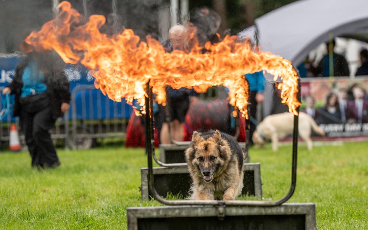 Hodder Valley Show