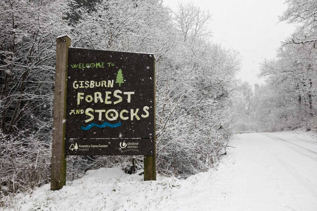 Gisburn Forest covered in snow