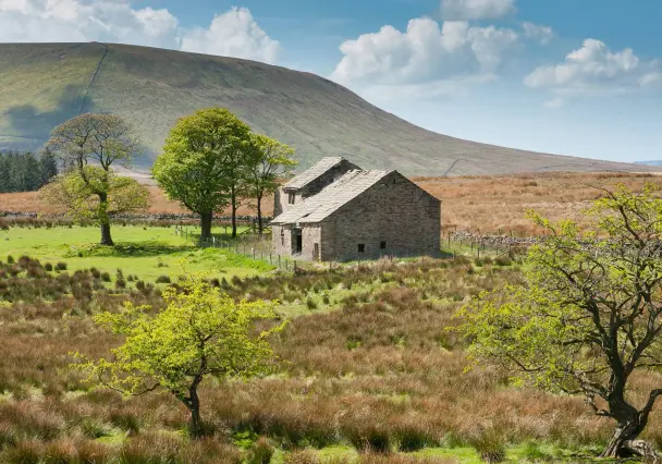 Forest of bowland