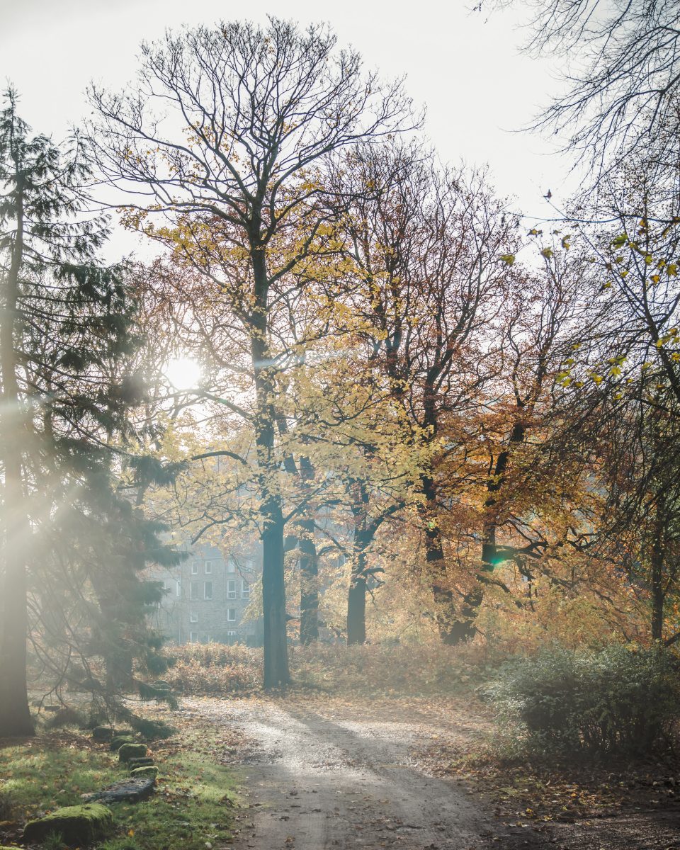 autumn