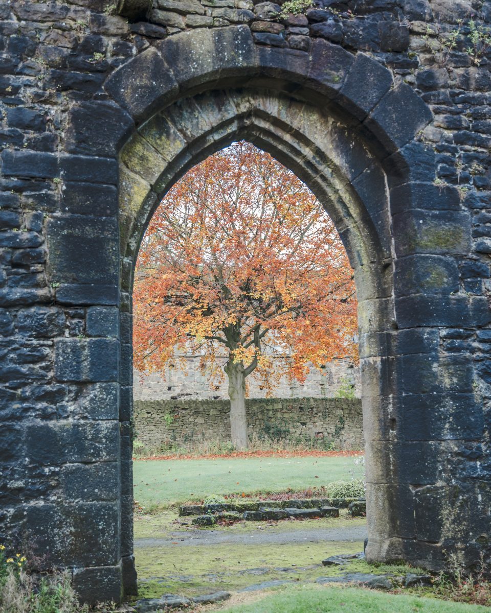 autumn