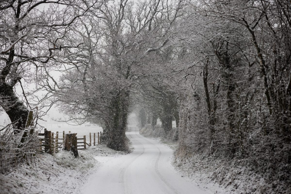 winter